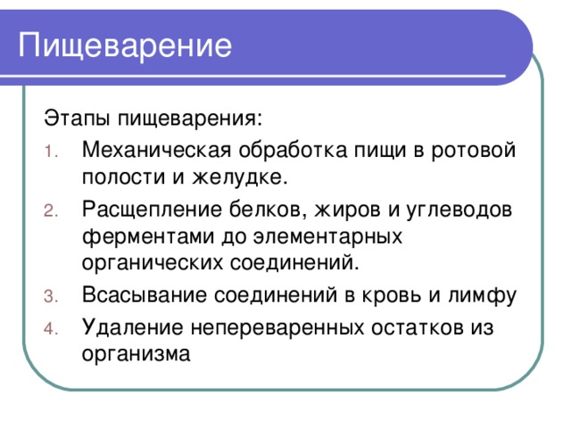 Схема пищеварения этапы