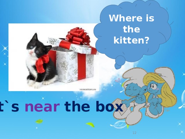 Where is the kitten? It`s near the box   