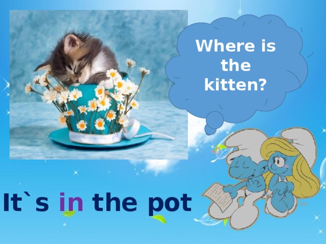 Where is the kitten? It`s in the pot  