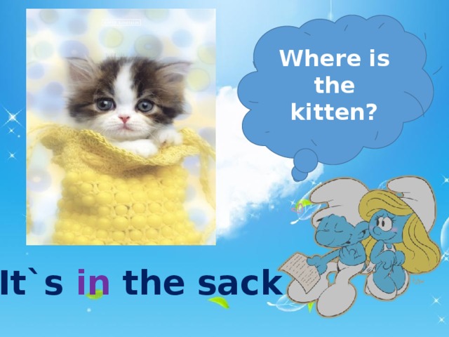 Where is the kitten? It`s in the sack  