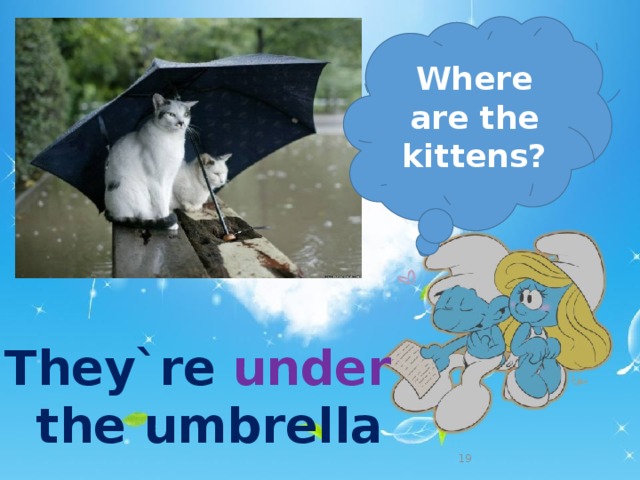 Where are the kittens? They`re under   the umbrella   