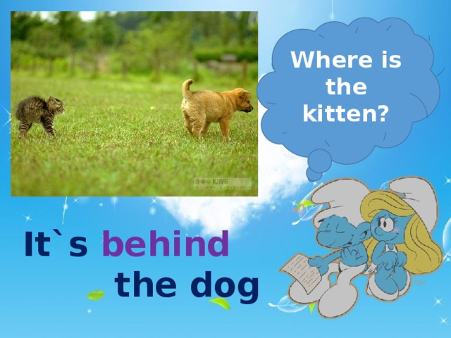Where is the kitten? It`s behind     the dog  