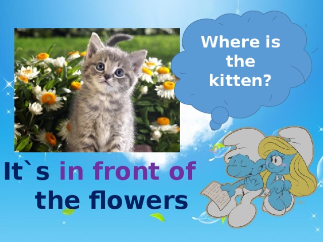 Where is the kitten? It`s in front of    the flowers  