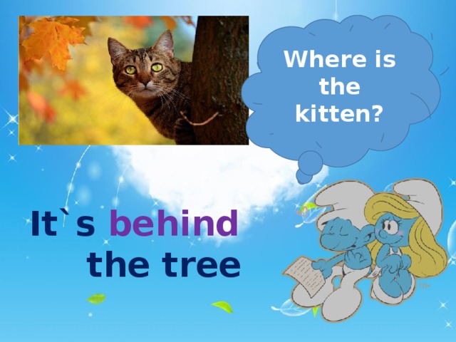 Where is the kitten? It`s behind    the tree  
