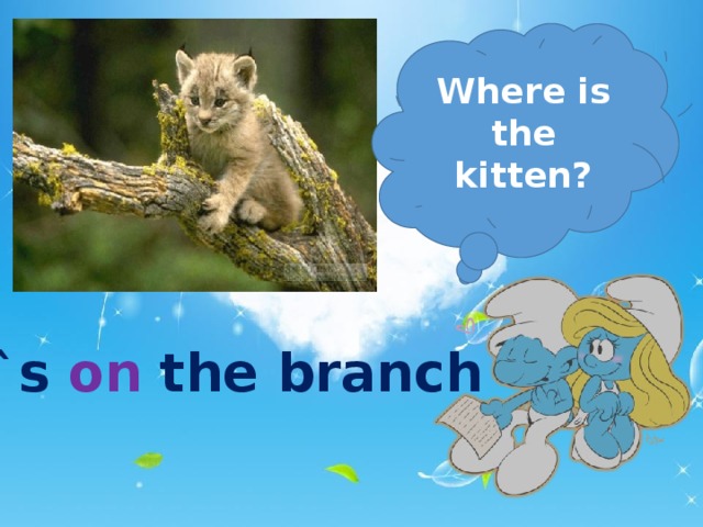 Where is the kitten? It`s on the branch  