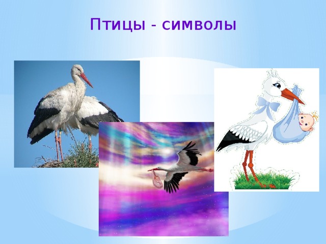 Птицы - символы 