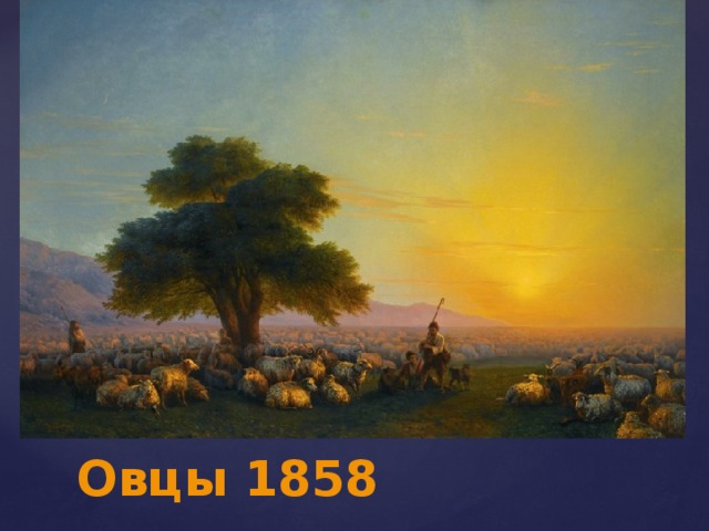 Овцы 1858    