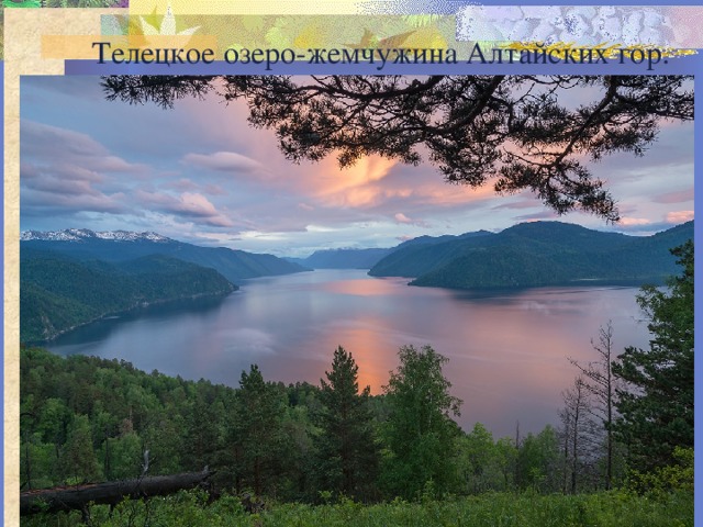 Телецкое озеро-жемчужина Алтайских гор. 