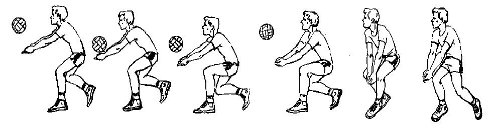 Нижняя подача прием мяча снизу. Передача мяча снизу двумя руками в волейболе. Прием и передача мяча снизу в волейболе. Прием волейбольного мяча снизу. Прием и передача мяча снизу двумя руками в волейболе.