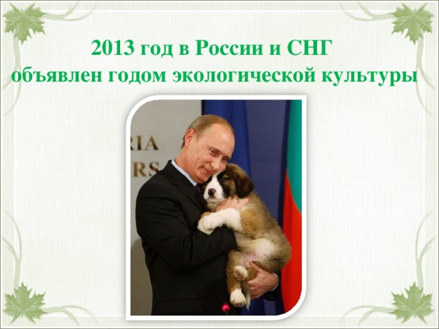 2013 год в России и СНГ объявлен годом экологической культуры 