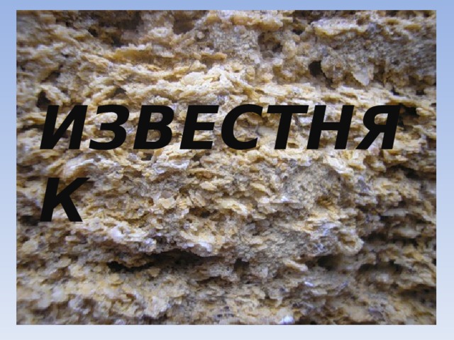 ИЗВЕСТНЯК  Полезные ископаемые Московской области 