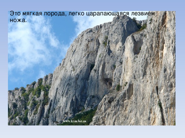 Это мягкая порода, легко царапающаяся лезвием ножа. 
