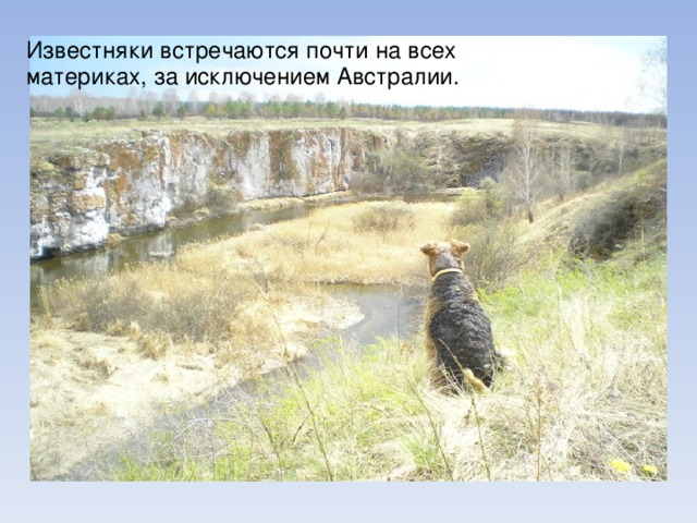 Известняки встречаются почти на всех материках, за исключением Австралии. 