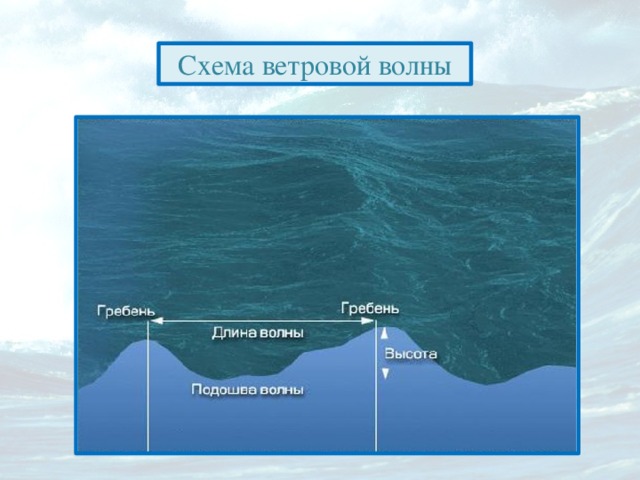 Подошва волны это. Строение ветровых волн. Схема волны. Схема движения воды в океане. Высота волны.