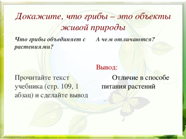 Прочитай отличаются. Что объединяет грибы и растения объединяет. Что объединяют грибы и растения? В чём отличие???.