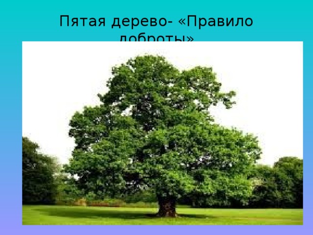 Дерево 5 букв. Дерево правил. Дерево с правилами. 5 Деревьев.