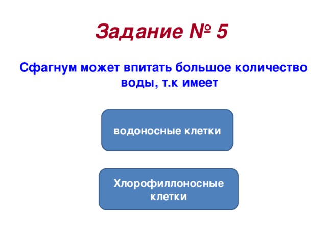 Задание № 5  Сфагнум может впитать большое количество воды, т.к имеет водоносные клетки Хлорофиллоносные клетки 