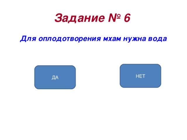 Задание № 6  Для оплодотворения мхам нужна вода НЕТ ДА 