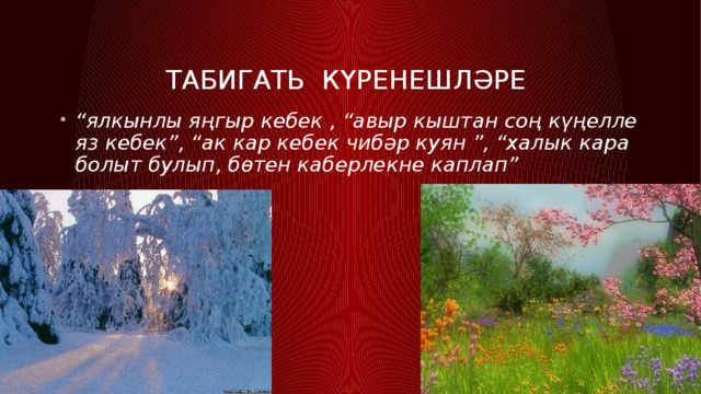 Проект без табигать балалары 4 класс