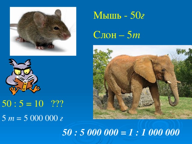 Мышь - 50 г Слон – 5 т 50 : 5 = 10 ??? 5 т = 5 000 000 г  50 : 5 000 000 = 1 : 1 000 000 