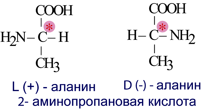 План конспект аминокислоты 10 класс