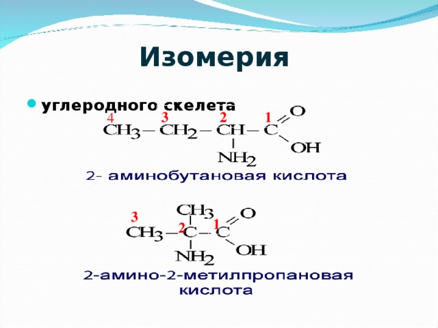 Изомеры углеродного скелета