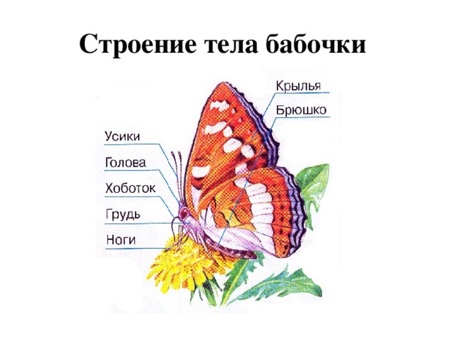 Солдаты. Все сезоны