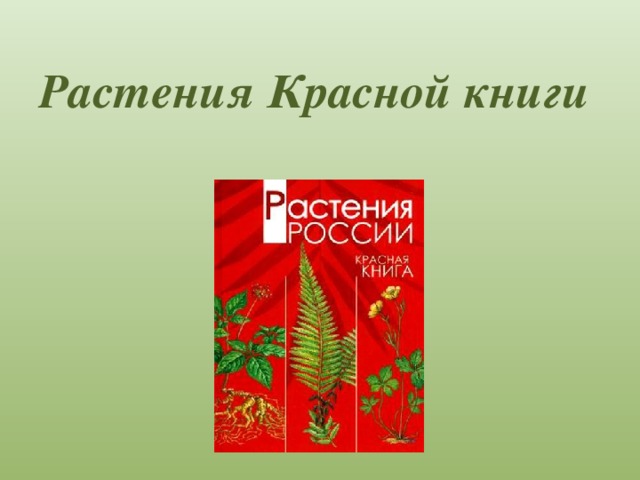 Красная книга окружающий 2