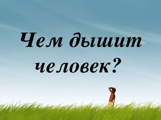 Чем мы дышим. Чем дышит человек. Чем выдыхает человек. Человек вдыхает. Что мы вдыхаем.