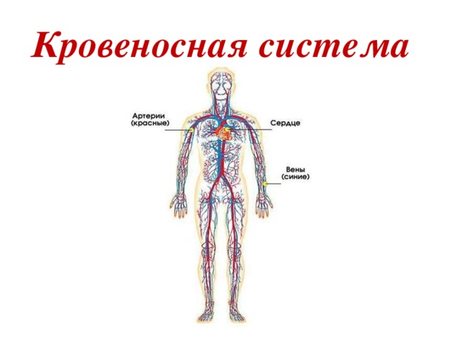 Человек человека 4 класс презентация