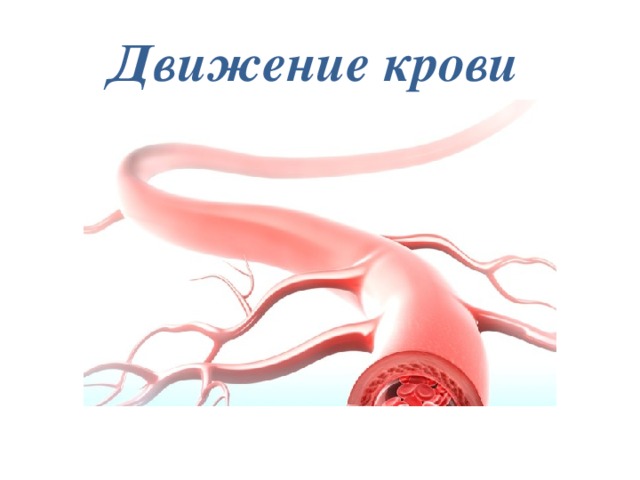 Движение капилляров. Движение крови. О движении крови 3 класс окружающий мир. Движение крови картинка.