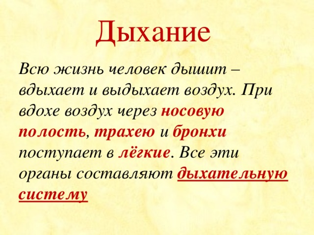 Презентация окружающий мир 3 класс дыхание и кровообращение