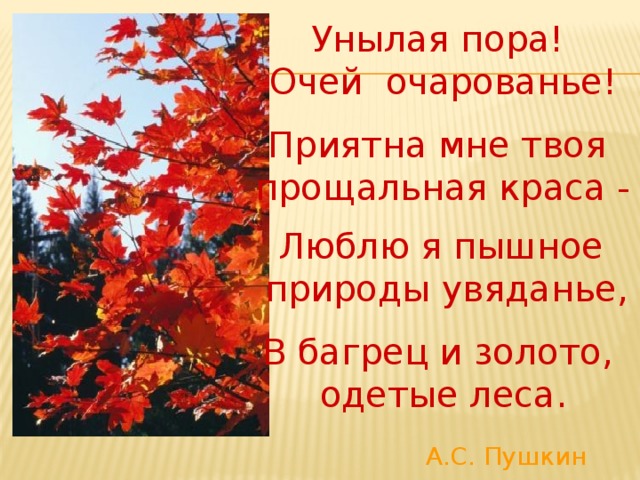 Унылые пора очарования. Багрец одетые леса Пушкин. Багрец Пушкин. Унылая пора очей очарованье. Люблю я пышное природы увяданье в багрец.