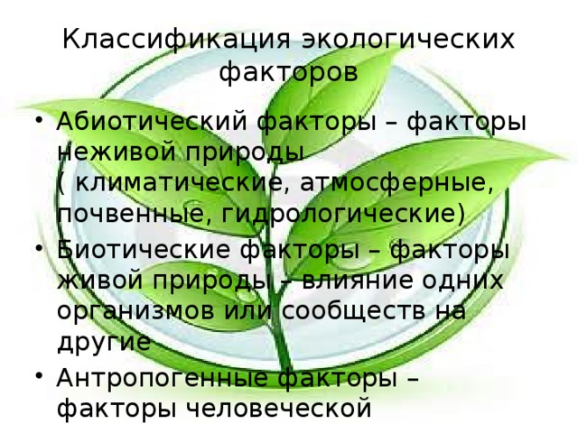 Классификация экологических факторов Абиотический факторы – факторы неживой природы ( климатические, атмосферные, почвенные, гидрологические) Биотические факторы – факторы живой природы – влияние одних организмов или сообществ на другие Антропогенные факторы – факторы человеческой деятельности 