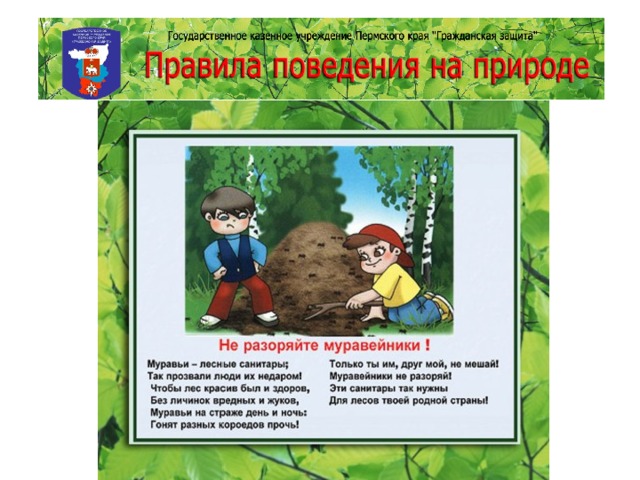 Не разоряй муравейники картинка