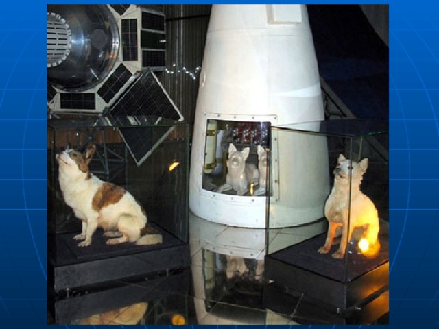 Спутник 5 собаки. Космический корабль белки и стрелки. Спутник 5. Ракета Спутник 5 белка и стрелка. Спутник 5 космический корабль.