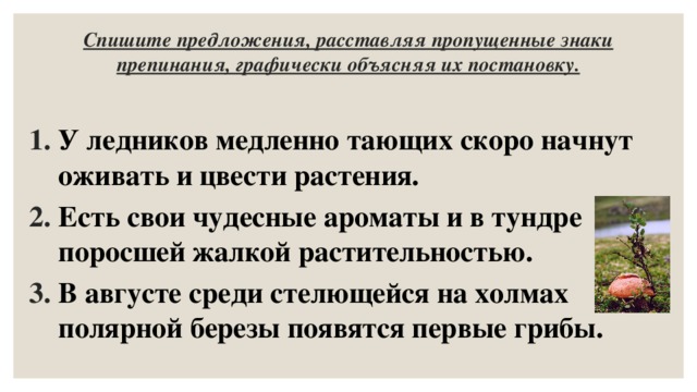 Спишите предложения, расставляя пропущенные знаки препинания, графически объясняя их постановку.  У ледников медленно тающих скоро начнут оживать и цвести растения. Есть свои чудесные ароматы и в тундре поросшей жалкой растительностью. В августе среди стелющейся на холмах полярной березы появятся первые грибы. 