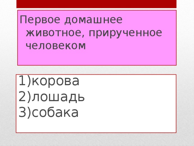 Первое домашнее животное, прирученное человеком   1)корова  2)лошадь  3)собака