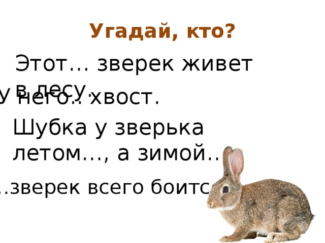 Угадай, кто? Этот… зверек живет в лесу. У него.. хвост. Шубка у зверька летом…, а зимой… … зверек всего боится. 