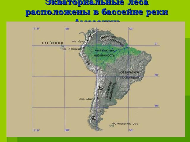 Экваториальные леса расположены в бассейне реки Амазонки 