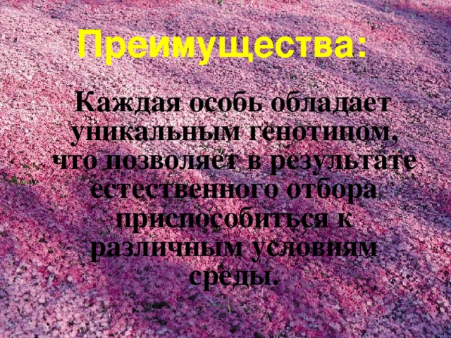 Преимущества:  Каждая особь обладает уникальным генотипом, что позволяет в результате естественного отбора приспособиться к различным условиям среды. 