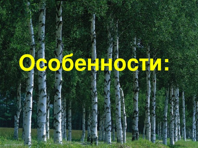 Особенности: 