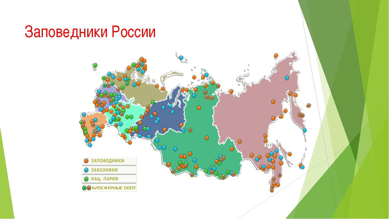 Карта с особыми привилегиями 6 букв