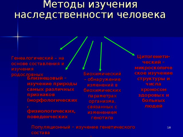 Презентация 9 класс методы изучения наследственности человека