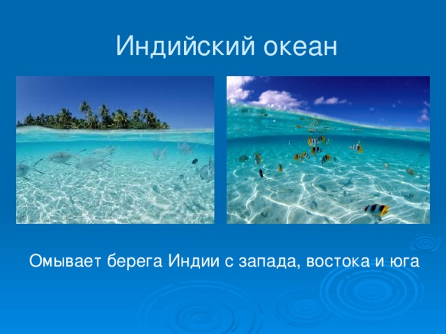 Какие побережья омывает индийский океан. Индийский океан омывает берега. Индийский океан интересные факты. Берега Индии с Запада с Востока и с Юга омывает океан. Берега Индии с Запада Востока и Юга.