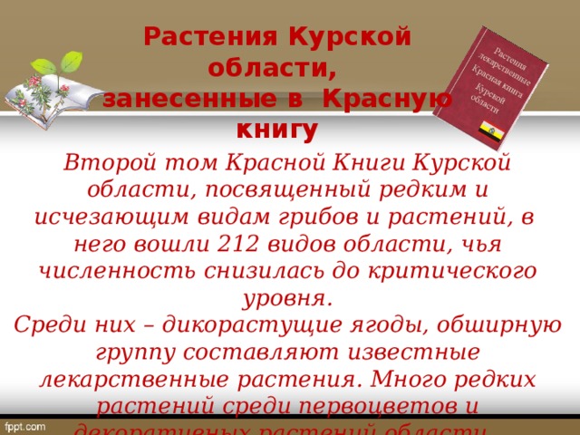 Курская красная книга. Красная книга Курской области. Растения Курской области занесенные в красную. Редкие растения Курской области.