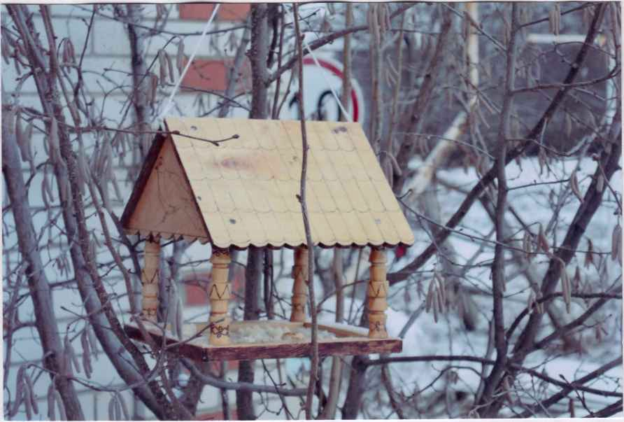 Висим на дереве. Кормушка висит на дереве. Кормушка для птиц висит на дереве. Кормушка из картона зимой в деревне на дереве. Деревянные кормушки на птицефабрике.