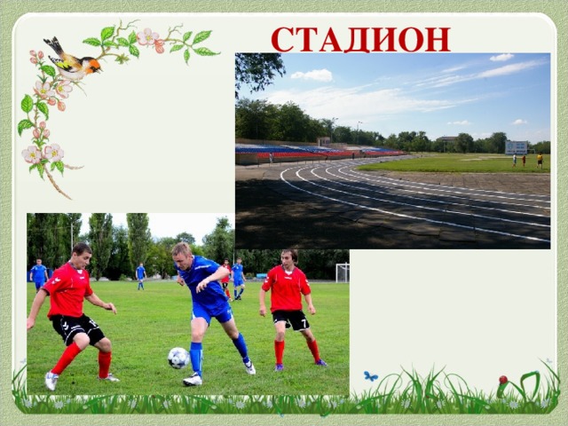 СТАДИОН