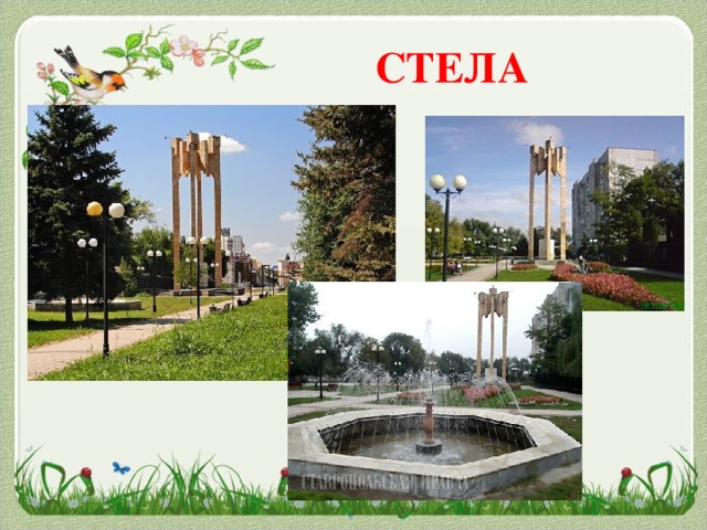 СТЕЛА