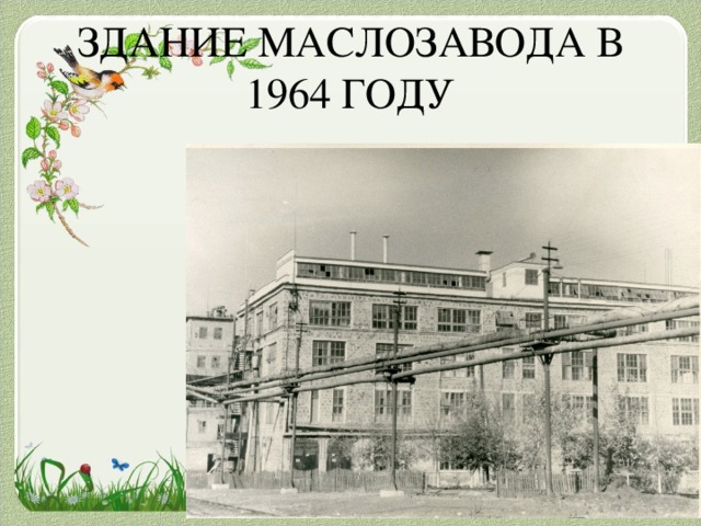 ЗДАНИЕ МАСЛОЗАВОДА В 1964 ГОДУ